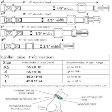 ROKHEVN Reflective Personalized Dog Collar in Vibrant Colors
