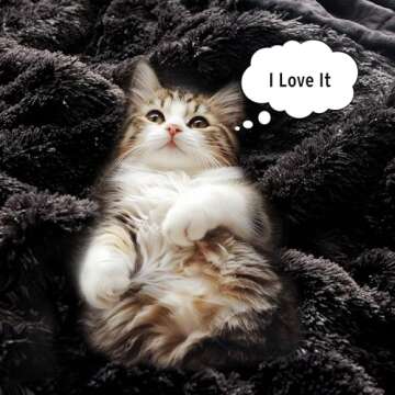 Intelligent Design Malea Shaggy Comforter Set, Long Faux Fur Cozy Down Alternative, Modern Casual Ultra Soft All Season Fluffy Bedding with Matching Sham, Full/Queen, Black 3 Piece