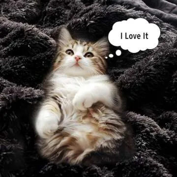 Intelligent Design Malea Shaggy Comforter Set, Long Faux Fur Cozy Down Alternative, Modern Casual Ultra Soft All Season Fluffy Bedding with Matching Sham, Full/Queen, Black 3 Piece