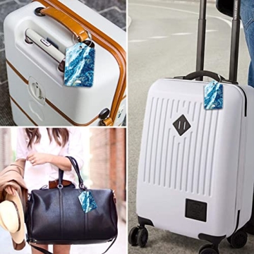 Stylish Luggage Tags with Privacy Cover and Steel Loop