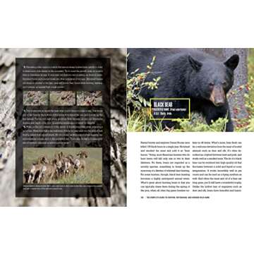 The Complete Guide to Hunting, Butchering, and Cooking Wild Game: Volume 1: Big Game