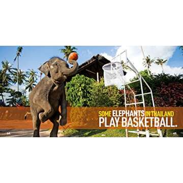 Weird But True Sports: 300 Wacky Facts About Awesome Athletics