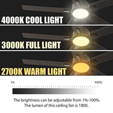 CEME Smart Ceiling Fan with Lights, Indoor & Outdoor Ceiling Fan with Remote, 10 Speeds Smart Ceiling Fan Works with Alexa, Siri & Google, 52 Inch Modern Ceiling Fan with DC Motor, Black Ceiling Fan