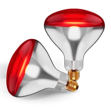 250W R40 Infrared Heat Lamp Bulbs 2-Pack