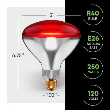 250W R40 Infrared Heat Lamp Bulbs 2-Pack
