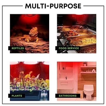 250W R40 Infrared Heat Lamp Bulbs 2-Pack