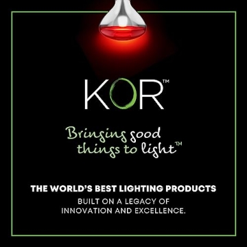 250W R40 Infrared Heat Lamp Bulbs 2-Pack