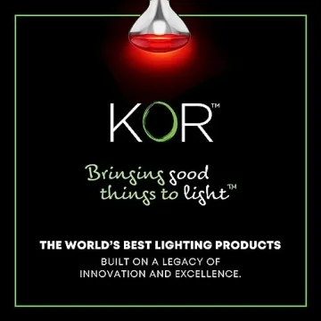 250W R40 Infrared Heat Lamp Bulbs 2-Pack