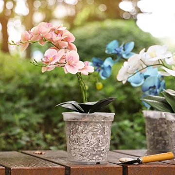 TRUEDAYS Clear Orchid Pots - Perfect for Healthy Plant Growth