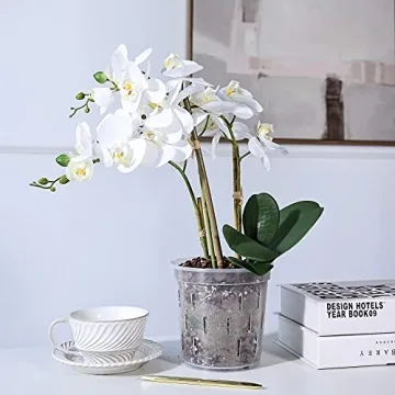 TRUEDAYS Clear Orchid Pots - Perfect for Healthy Plant Growth