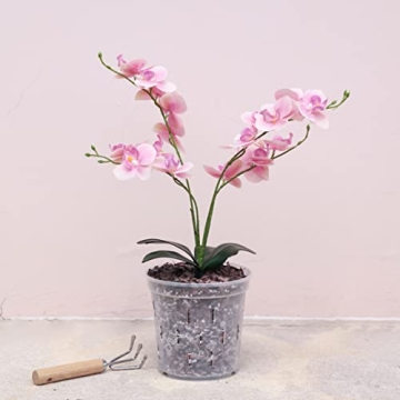 TRUEDAYS Clear Orchid Pots - Perfect for Healthy Plant Growth