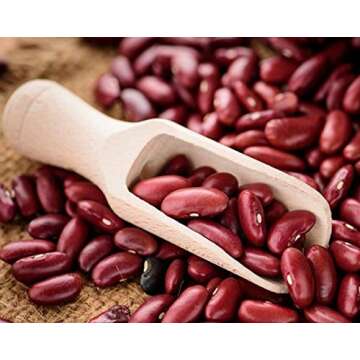 Food to Live Organic Dark Red Kidney Beans, 10 Pounds – Non-GMO, Kosher, Raw, Sproutable, Vegan
