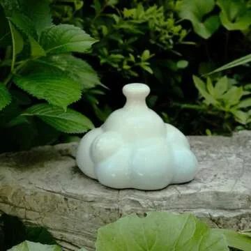 Ceramic Thumb Watering Can ASMR Experience for Plant Lovers