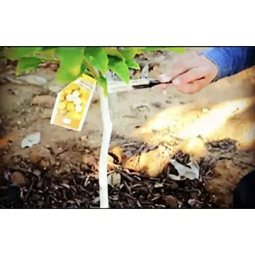 IV Organic 3-in-1 Plant Guard - Eco-Friendly Plant Protection