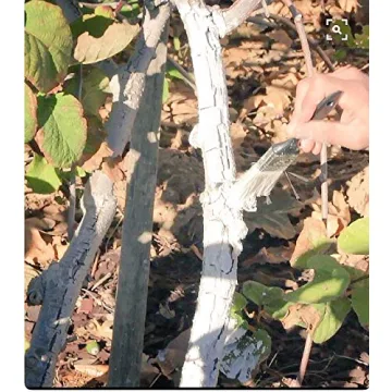 IV Organic 3-in-1 Plant Guard - Eco-Friendly Plant Protection