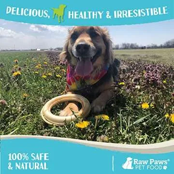 Natural Rawhide Rings for Dogs - Safe, Long-Lasting Chews