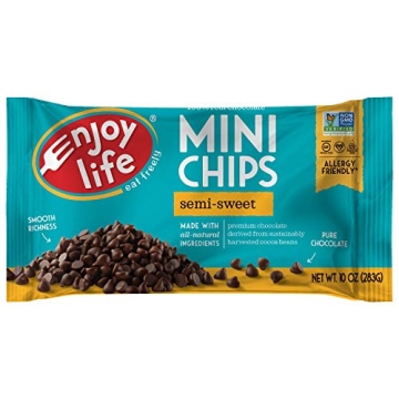 Enjoy Life Semi-Sweet Mini Chocolate Chips Pack of 2