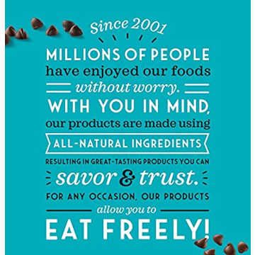 Enjoy Life Semi-Sweet Mini Chocolate Chips Pack of 2