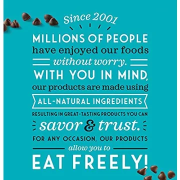 Enjoy Life Semi-Sweet Mini Chocolate Chips Pack of 2