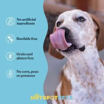 Full-Size Cow Hooves for Dogs | (10 Pack) All-Natural Long Lasting Dog Chews | Made from Grass Fed Cattle | Tasty Treat for Oral Hygiene | Fantastic Alternative for Rawhide and Bully Sticks