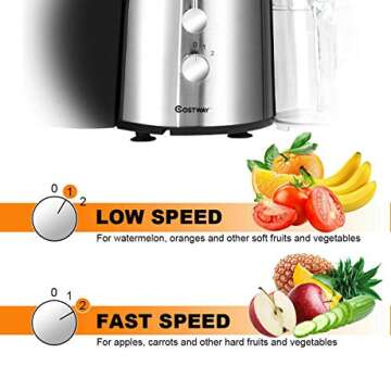 COSTWAY Juice Extractor, 75MM Wide Mouth Stainless Steel Juicer Machines, 2-Speed Setting High Speed Masticating Juicer Machine for Fruits and Vegetable with Slag Pot and Juice Jug, BPA-Free