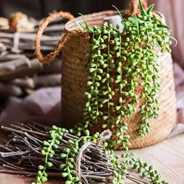 Outee 14 Pcs Fake Succulents Assorted Colors Ideal Decor