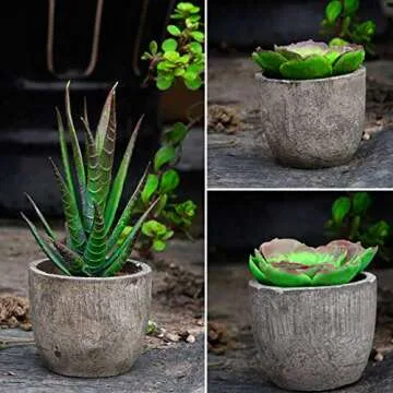 Outee 14 Pcs Fake Succulents Assorted Colors Ideal Decor