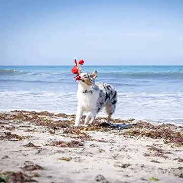 Hyper Pet Doggie Pal Interactive Dog Toys (Dog Toy that Wiggles, Vibrates, and Barks Plush Toys for ...