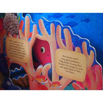 Discovering the Secret World: Coral Reef (Happy Fox Books) Board Book Teaches Kids Ages 3-6 about a Reef, Diving Deeper into the Sea with Every Page, with Educational Fun Facts