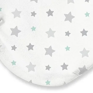 SwaddleMe Original Organic Swaddle - Safe Sleep for Infants