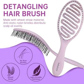 Daily Gard Detangling Brush, Dry and Wet Vented Detangler Hair Brush for Women and Men, Paddle Quick Drying Hairbrush for Wet/Dry/Curly/Thick/Long/Wavy/Damaged Hair, Purple
