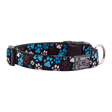 Stylish RC Pets Adjustable Dog Collar for Large Dogs