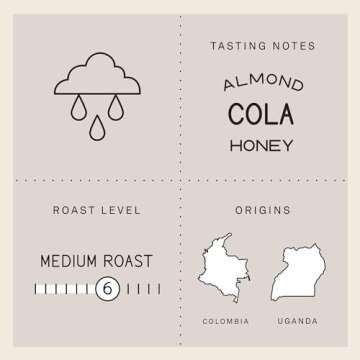 Verve Coffee Roasters Whole Bean Coffee Vancouver Swiss Water Decaf | Medium Roast, Espresso | No Caffeine, Direct Trade, Resealable Pouch | Enjoy Hot or Cold Brew | 12oz Bag