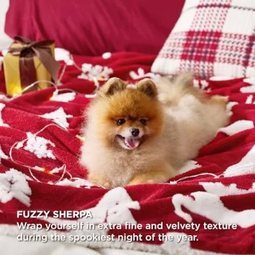 Luxury Bedsure Christmas Blanket - Fleece Sherpa Gift