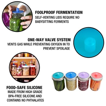 Best Waterless Airlock Lids for Mason Jar Fermenting