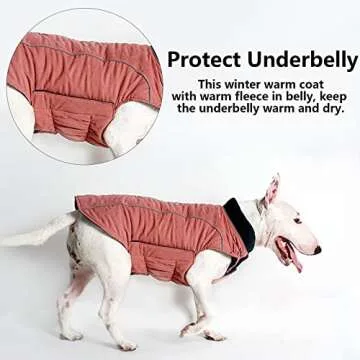Morezi Dog Jacket with Reflective Stripes for Small Dogs