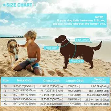 EMUST Dog Life Jacket, Ripstop Dog Lifesaver Vests with Rescue Handle for Small Medium and Large Dogs, Pet Safety Swimsuit Preserver for Swimming Pool Beach Boating (XS,Pool Blue)