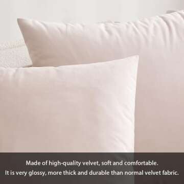 MIULEE Pack of 2 Pillow Covers Velvet Throw Pillow Covers 20x20 Inch Soft Solid Decorative Square Set Cushion Cases for Spring Couch Sofa Bedroom