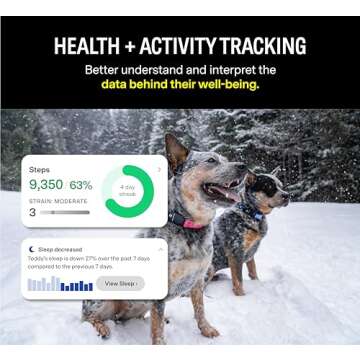 Fi Series 3 Smart Dog Collar - GPS Dog Tracker and Activity & Fitness Monitor, Waterproof, LED Light, Escape Alerts, Nationwide Coverage [Free 6 Month Membership] (Gray, Medium)