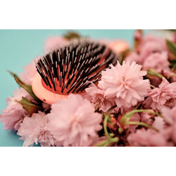 Mason Pearson Pocket Hair Brush - Luxury Hair Care Tool