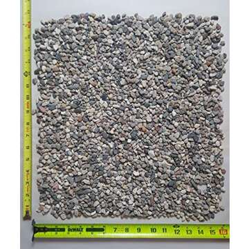 5 lbs. of Small River Pebbles (Triple Washed) from Northern Michigan Succulents, Cactus or Bonsai, F...