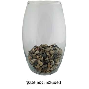 5 lbs. of Natural River Pebbles for Plants and Crafts