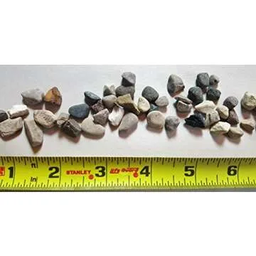5 lbs. of Natural River Pebbles for Plants and Crafts