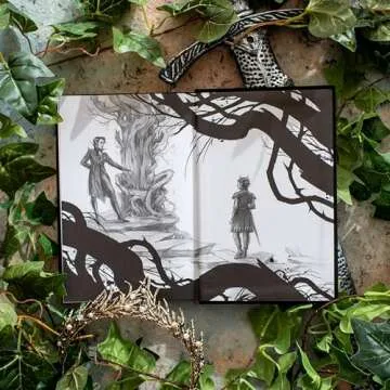 The Cruel Prince Collector's Edition｜A Must-Have Fantasy