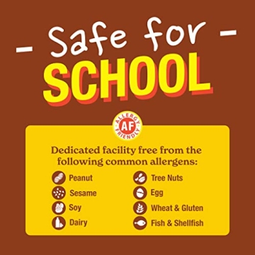 MadeGood Healthy Variety Pack - 40 Organic Snacks