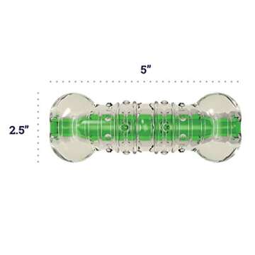 Petstages Crunchcore Bone Water Bottle Alternative Dog Chew Toy, Large