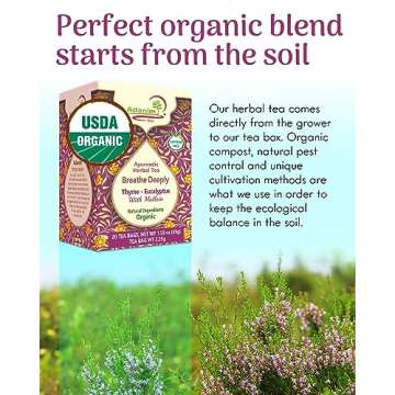 Adanim Bio Thyme Tea, Value Pack 80 Teabags with Organic Mullein Leaf and Eucalyptus Tea, Enhanced Respiratory and Lung Health, Caffeine Free Thyme Tea Bags