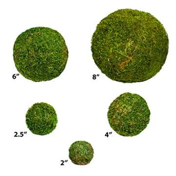 SuperMoss (21663) Moss Ball, Fresh Green, 8"
