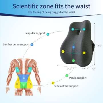 Max&Love Lumbar Support Pillow Cover Ergonomic Design Orthopedic Backrest for Back Pain Relief Memory Foam Back Support for Office Chair Computer Chair Car Seat Recliner and Couch (Dark Gray)