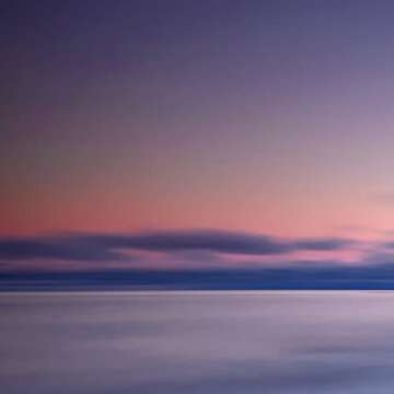 LinkStyle Selfie Light with 36 LEDs and 3 Brightness Levels